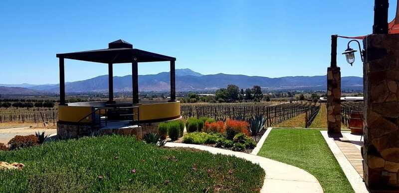 From Tijuana: Valle de Guadalupe Private Winery Tour - Final Thoughts