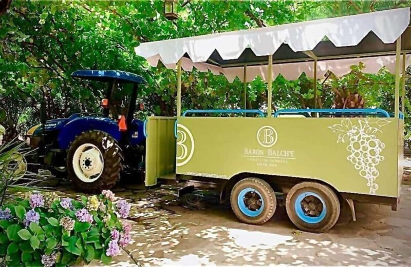 From Tijuana: Valle de Guadalupe Shared Winery Tour - Who Should Consider This Tour?