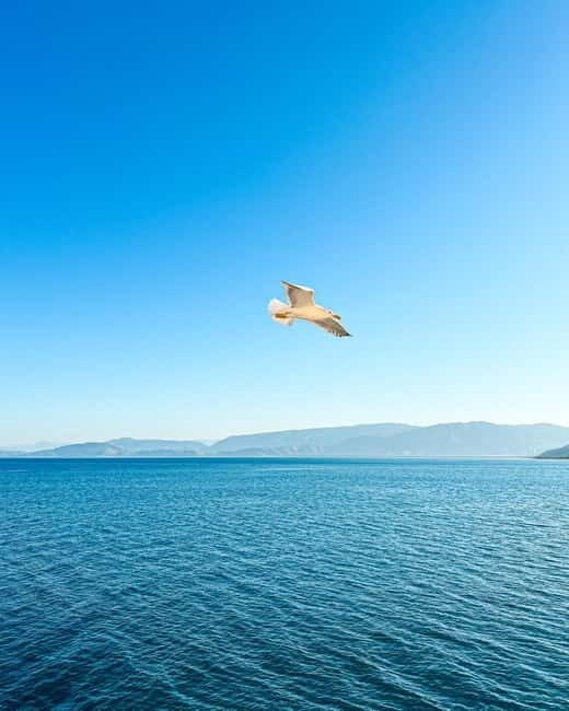 From Tirana: 2-Day Albanian Riviera & Dhermi Guided Tour - Who Is This Tour Best For?