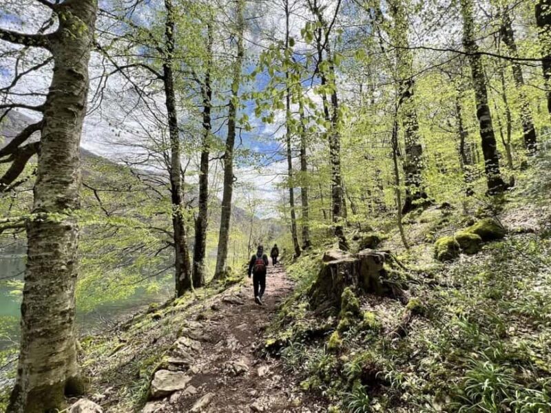 From Tirana: 3-Day Montenegro Tour with Hotel & Guide - The Scenic Drive through Lovćen and Kotor