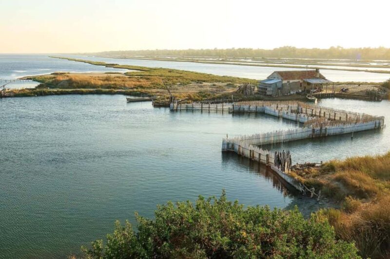 From Tirana: Berat and Karavasta Lagoon Day Trip - Key Points