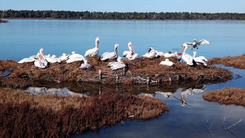 From Tirana: Berat and Karavasta Lagoon Day Trip - Final Thoughts