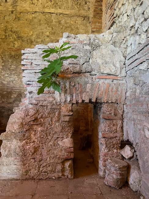 From Tirana: Berat City, Belshi Lake and Roman Baths Tour - The Journey Begins: From Tirana to Ancient and Natural Wonders