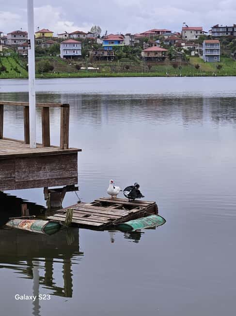 From Tirana: Berat Day Trip with Belshi Lake - Final Thoughts