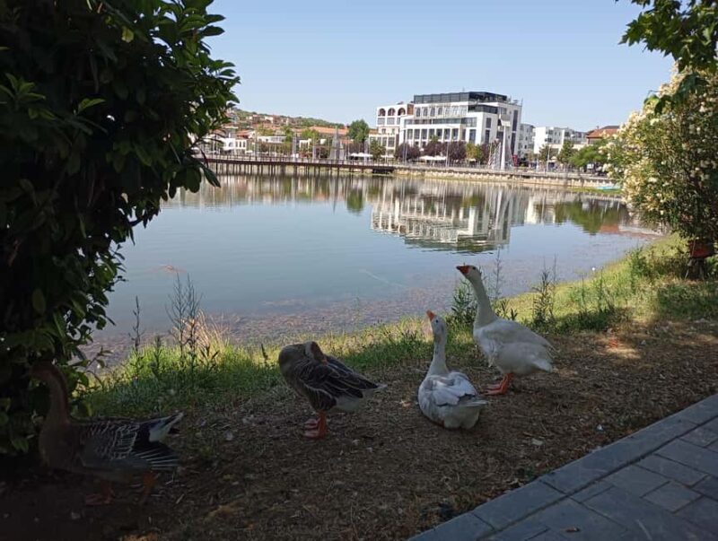 From Tirana: Berat Exploring Tour, Belshi Lake & Agrotourism - Detailed Breakdown of the Itinerary