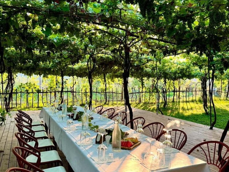 From Tirana: Berat UNESCO Heritage with Wine Tasting - Considerations and Potential Drawbacks