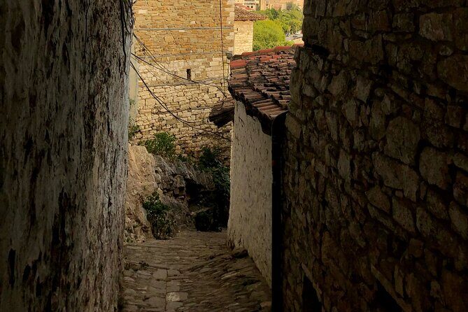 From Tirana: Berat UNESCO Site,Onufri Museum and Belshi Lake Tour - The Details That Matter