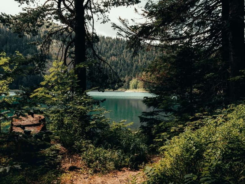 From Tirana: Bosnia, Montenegro & Albania 4-Day Guided Tour - Key Points