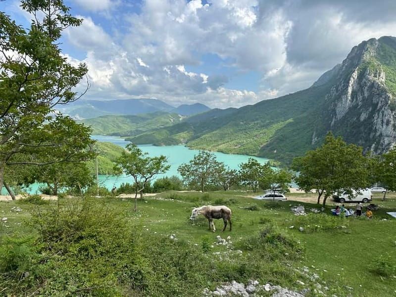 From Tirana: Bovilla Lake & Gamti Mountain Viewpoint Hike - Lunch and coffee break: food value and view-friendly timing