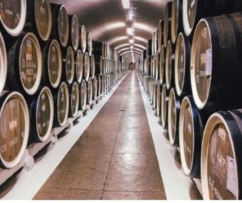 From Tirana: Cape of Rodon Castle, Beach & Wine Tasting Tour - The Sum Up: Who Is This Tour Best For?