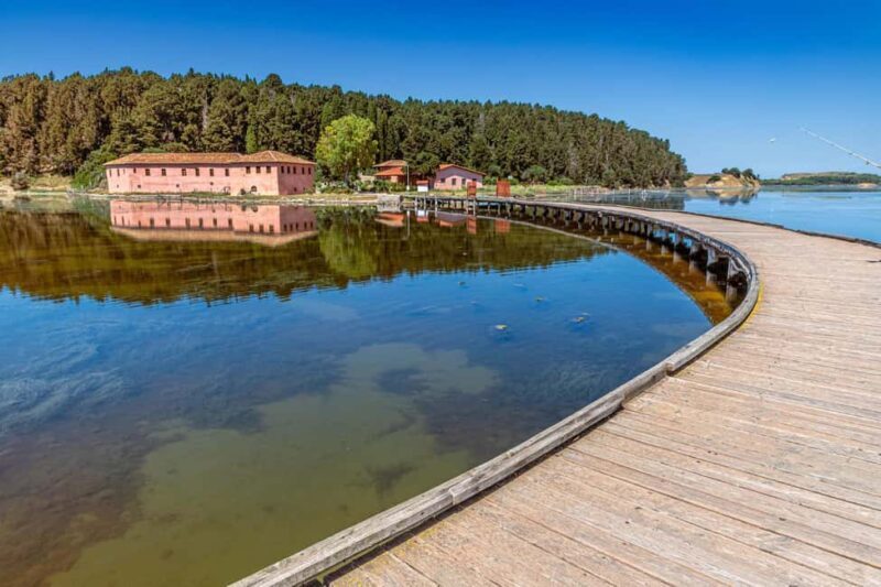 From Tirana/ Durrës: Apollonia & Zvernec Monastery Day Tour - Who’s This Tour Best For?