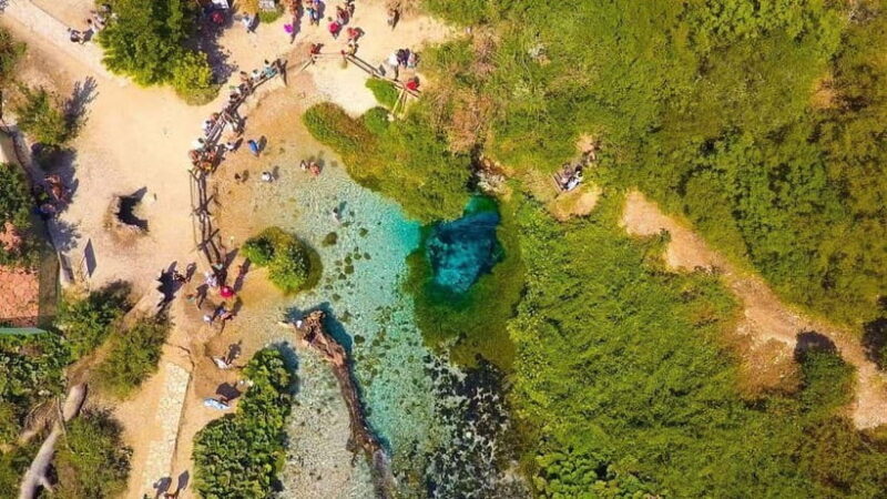 From Tirana/Durres: Gjirokastra UNESCO city & Ardenica - The Itinerary Breakdown