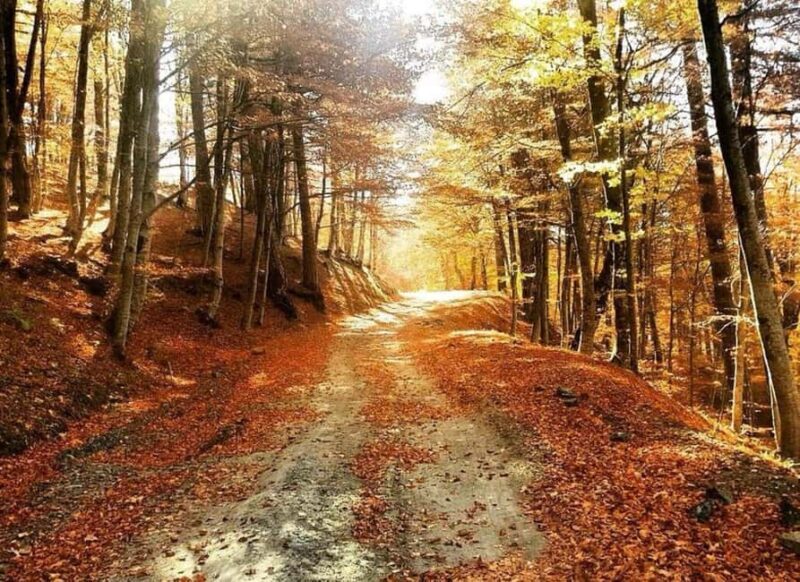 From Tirana / Durrës: Qafë-Shtamë, Sarisalltik & Krujë Tour - What the Tour Offers in Detail