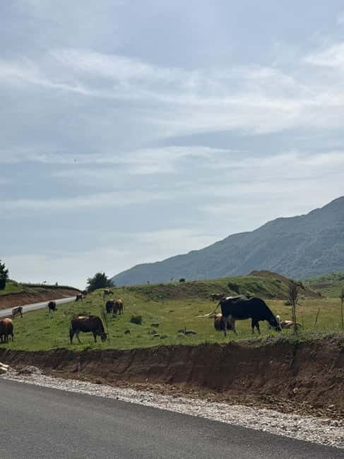 From Tirana/Durres:Hiking tour in National Park of Shebenik - FAQ