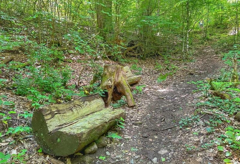 From Tirana/Shkodra: Komani Lake and Shala River Day Trip - Lunch at the River: Traditional Food and Picnic Energy