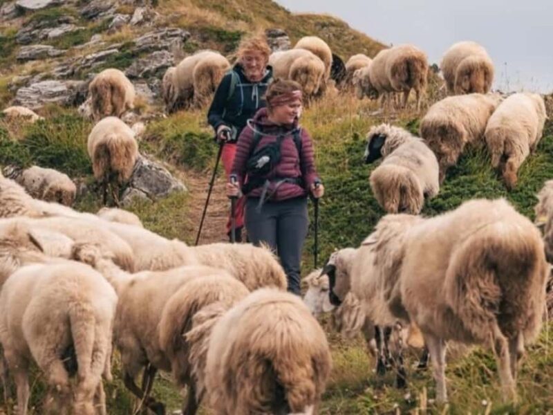 From Tirana: Valbona Valley and Prizren 2 Day Tour - Who Should Consider This Tour?