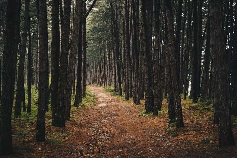 From Tivat: Vrmac Hill Scenic Hike above Boka Bay - FAQ: Your Questions Answered