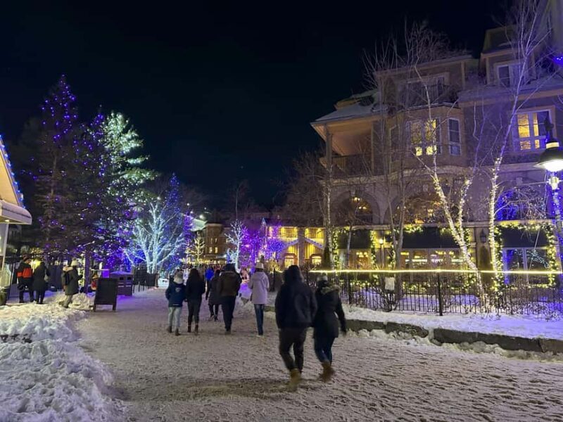 From Toronto: Blue Mountain Day Trip Skiing Snowboarding - Key Points