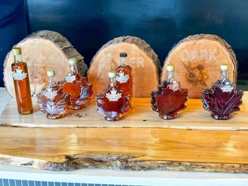 From Toronto: Niagara Falls Guided Day Tour with Boat Cruise - Real Traveler Insights