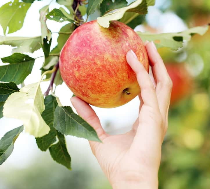 From Torre de Moncorvo: an Immersive Tour through Douro - Walking the "Smugglers Trail" and More