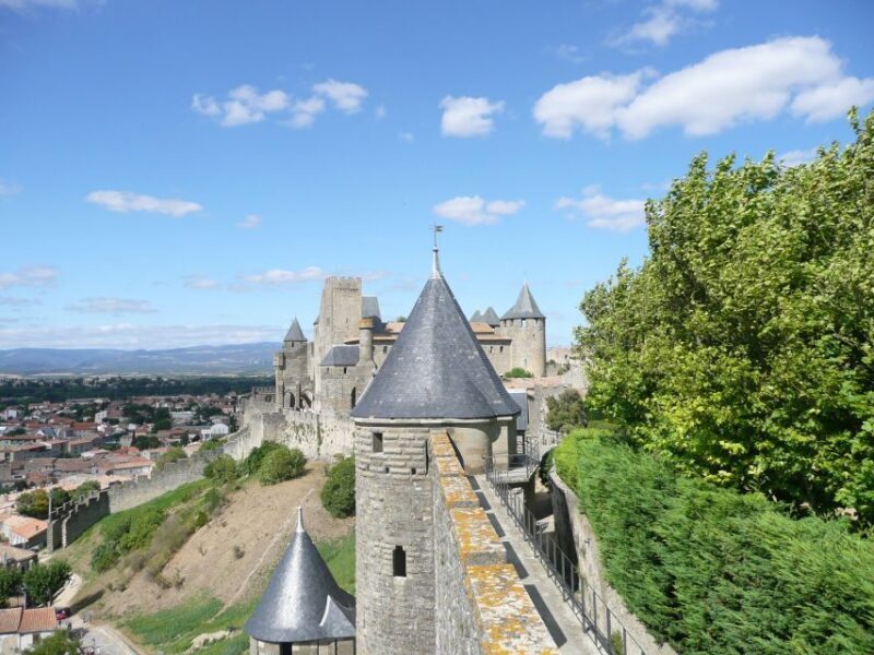 From Toulouse Cite de carcassonne et wine tasting - Who Might Want to Skip It?
