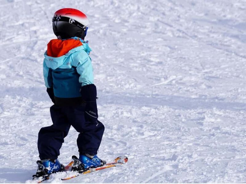 From Toulouse: Ski Day & VIP Transfer (Group of up to 6 people) - Pricing and Value
