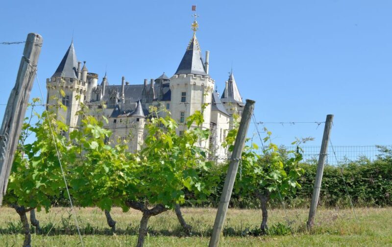 From Tours: Loire Valley Wineries Day Trip with Tastings - Key Points