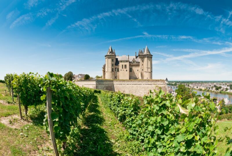From Tours: Loire Valley Wineries Day Trip with Tastings - Final Thoughts