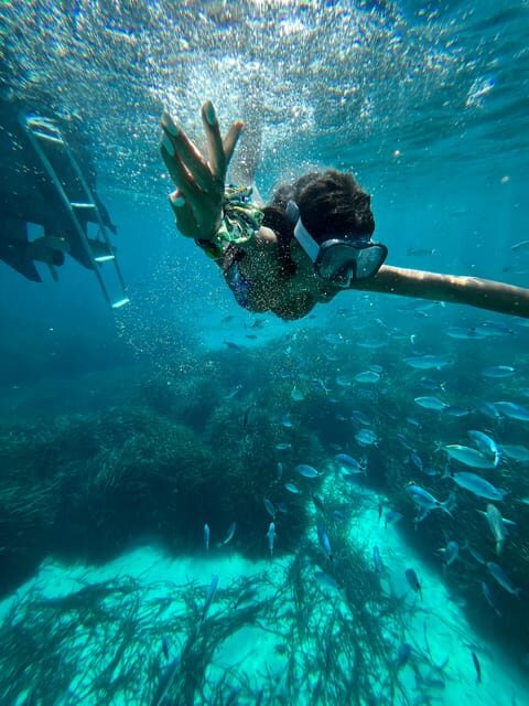 From Trapani: Favignana and Levanzo Island Day Cruise - The Sum Up