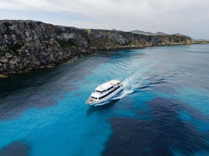 From Trapani: Favignana and Levanzo Motorboat Cruise - The Overview: What to Expect on the Cruise