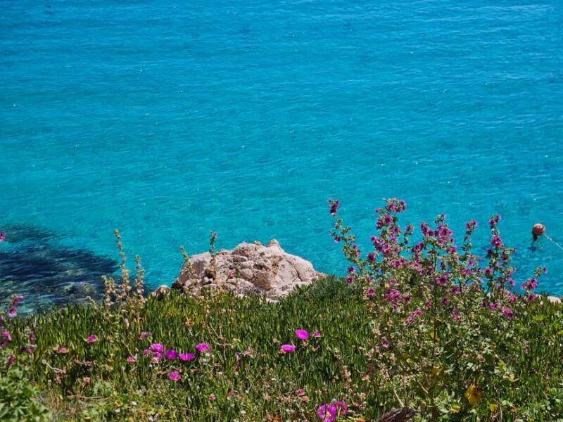 From Trapani: Favignana and Levanzo Shuttle Tour - Key Points