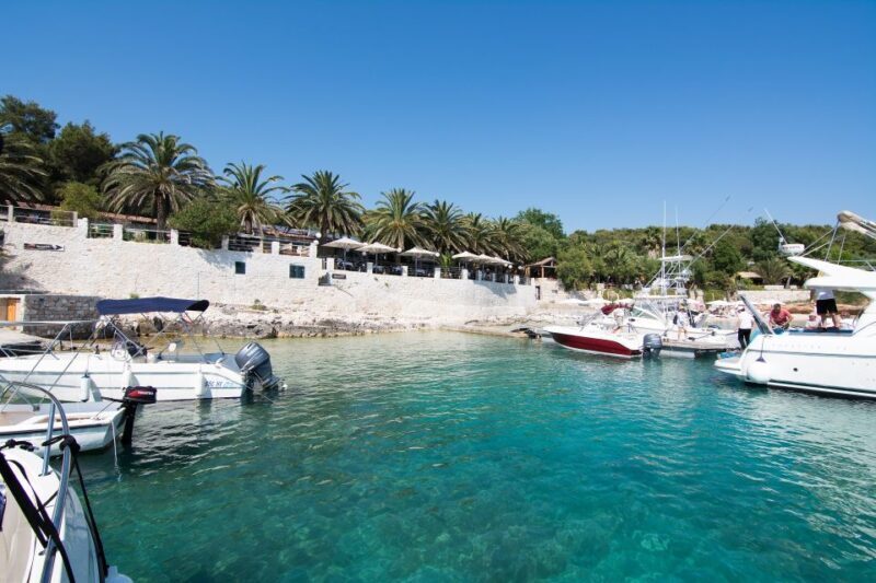 From Trogir/ Split: Hvar & Pakleni Islands Private Boat Tour - Who Will Love This Tour?