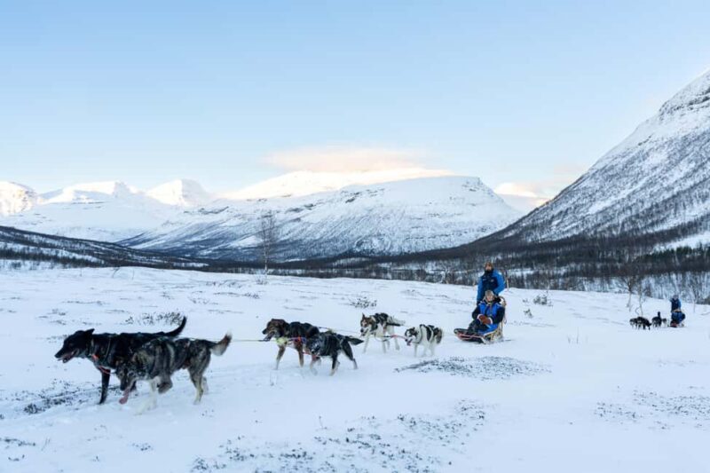 From Tromsø: Advanced Dog Sledding Daytime & Snow Park Visit - The Journey to Tamok Valley