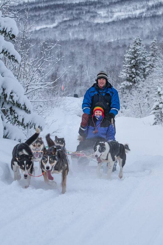 From Tromsø: Advanced Dog Sledding Tour at Camp Tamok - FAQ