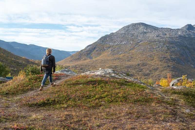 From Tromsø: Arctic Roadtrip Small Group 4x4 Van - Wildlife and Nature Highlights