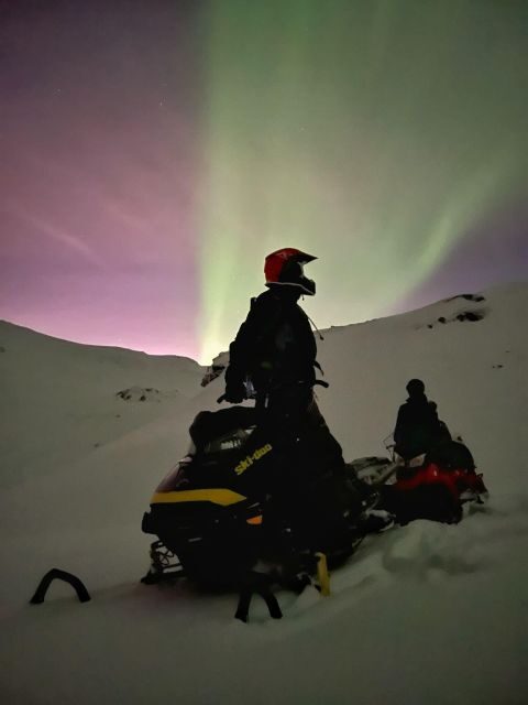 From Tromso: Arctic Wilderness Snowmobile Evening Tour - The details that matter