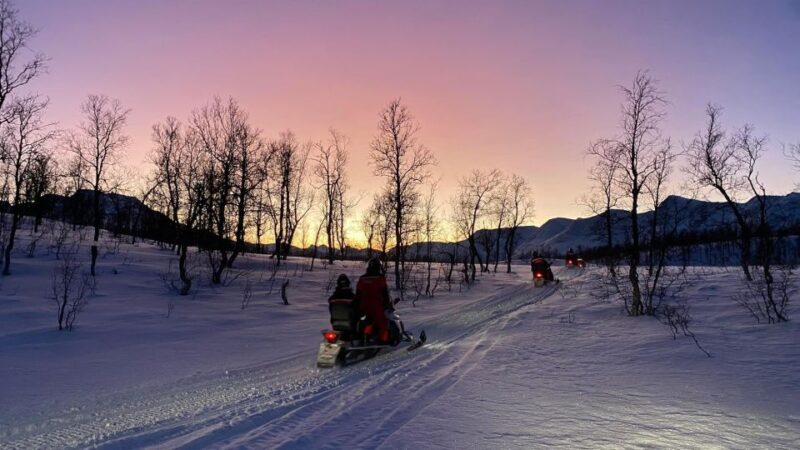 From Tromso: Eco Luxury Snowmobile Adventure to Lyngen Alps - An Overview of the Experience