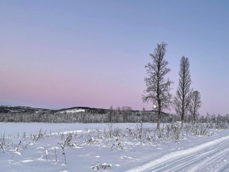 From Tromso: Eco Luxury Snowmobile Adventure to Lyngen Alps - The Price and Value