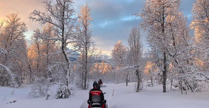 From Tromso: Eco Luxury Snowmobile Adventure to Lyngen Alps - Frequently Asked Questions