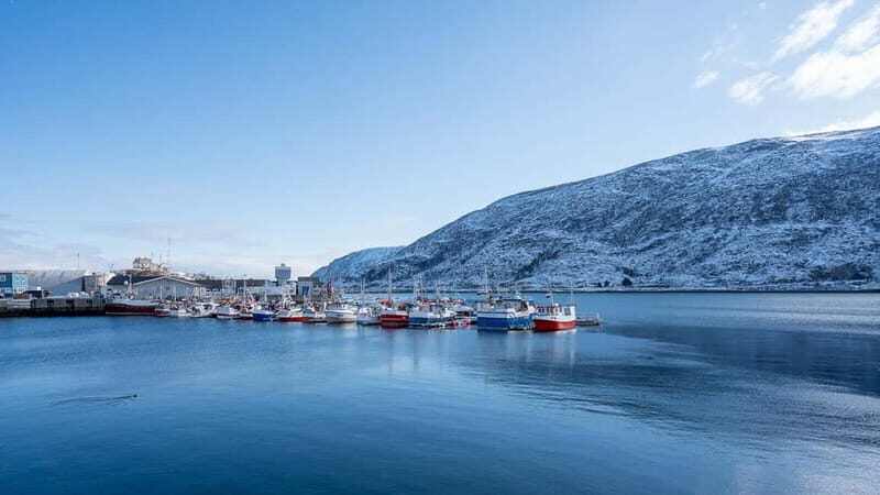From Tromsø: Experience Vannøya Island Wild, Remote & Real - Who Is This Tour Best For?