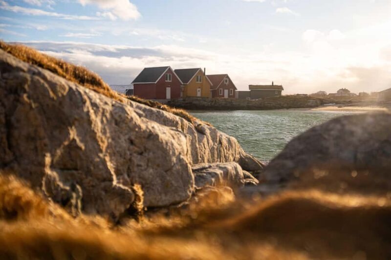 From Tromsø: Fjord Tour with Minivan - Key Points