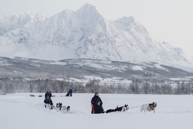 From Tromsø: Fun and Easy Dog Sledding Adventure - The Safety Briefing and Practice: How You Learn to Drive