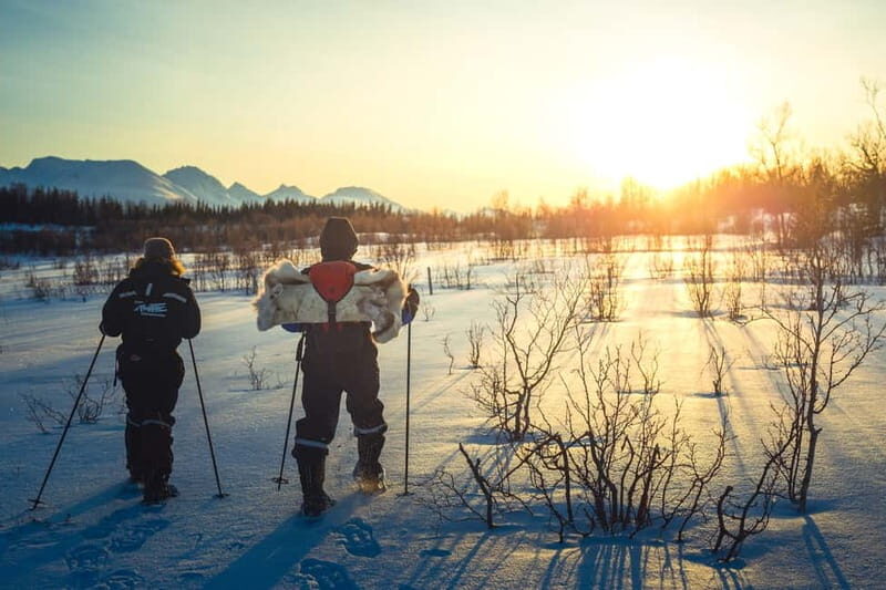 From Tromsø: Guided Husky Snowshoe Hike and Husky Camp Visit - Who Should Consider This Tour?