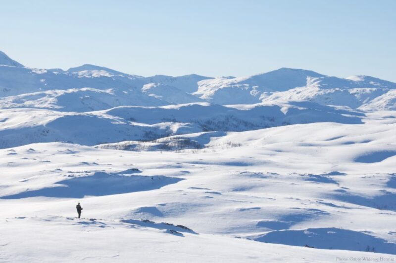 From Tromsø: Guided Snowshoe Hike Experience - What the Reviews Tell Us