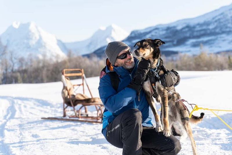 From Tromsø: Husky Experience with Self-Drive Dog Sled Ride - How Is the Value?