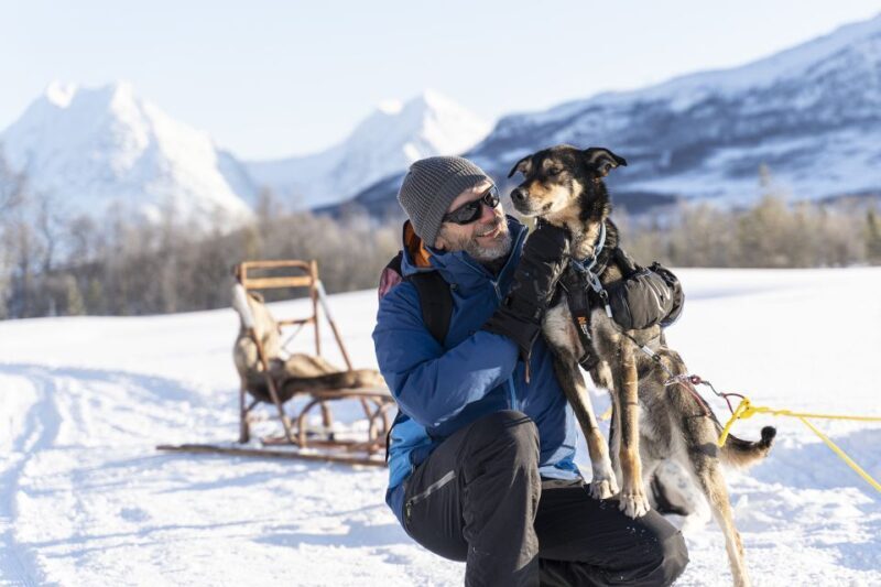 From Tromsø: Husky Experience with Self-Drive Dog Sled Ride - The Verdict