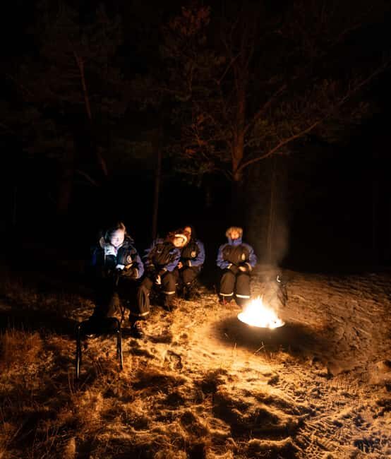 From Tromsø: Northern Lights Chase - Who Is This Tour Best For?