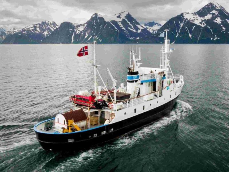 From Tromsø: Northern Lights Cruise on a Cozy Vintage Vessel - Who Is This Tour Best For?