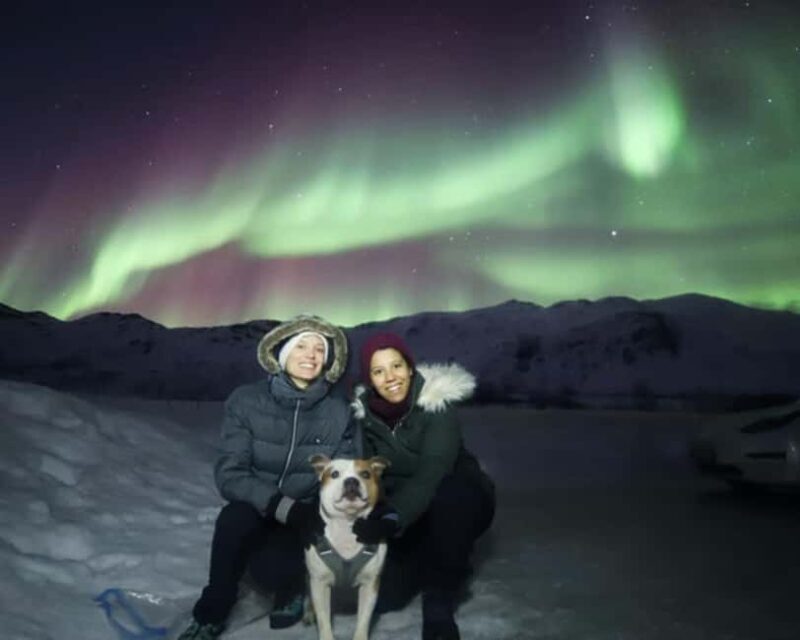 From Tromso: Northern Lights Photography Tour - Experience Overview: What You Can Expect