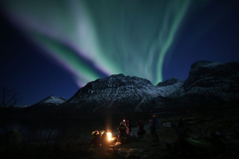 From Tromso: Northern Lights Photography Tour - What Do Travelers Say?